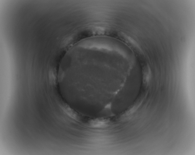 X0000115670661200911191026
