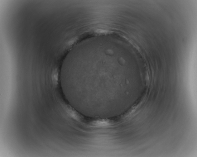 X0000115670668200911191026