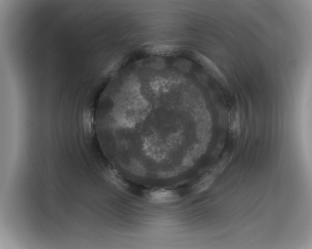 X0000115670669200911191026