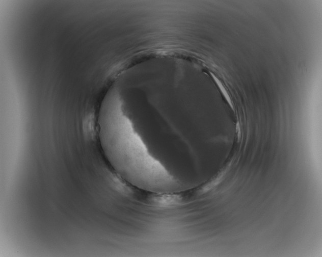 X0000115670670200911191026