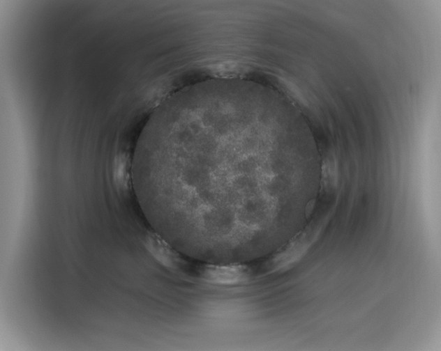 X0000115670671200911191026