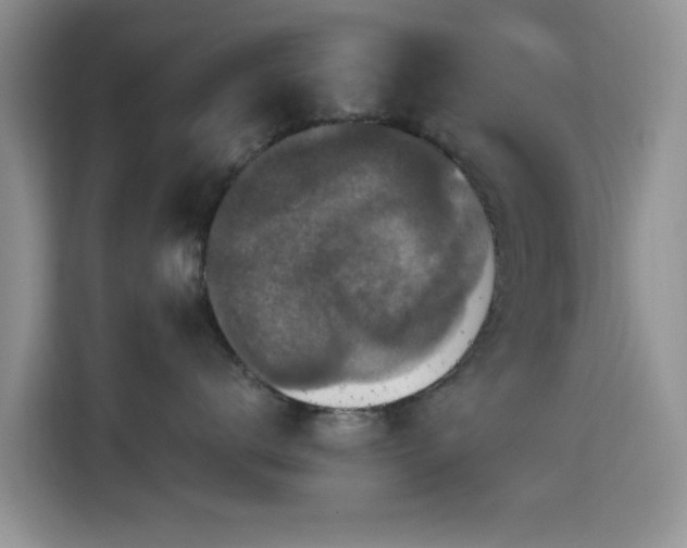 X0000115670672200911191026
