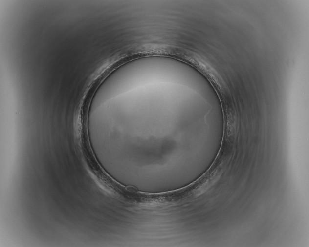 X0000115670674200911191026