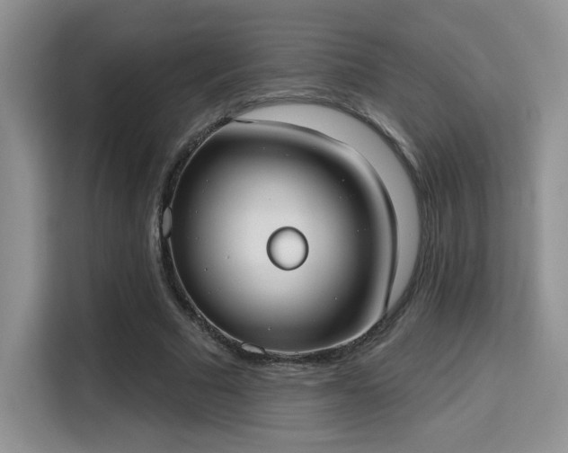 X0000115670681200911191026