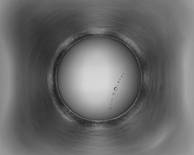 X0000115670682200911191026