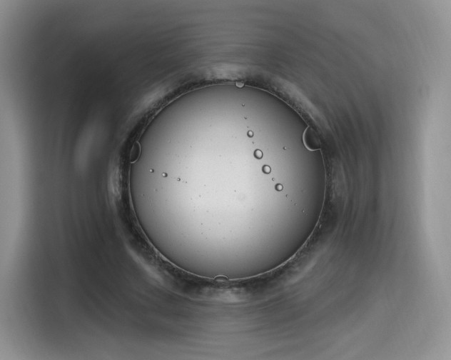 X0000115670683200911191026