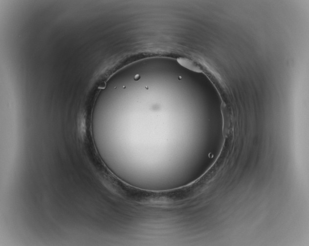 X0000115670685200911191026