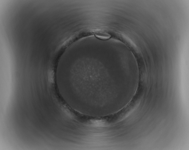 X0000115670689200911191026