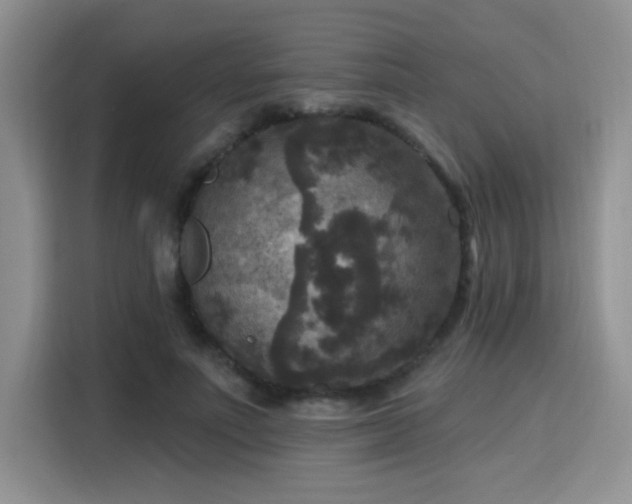 X0000115670691200911191026