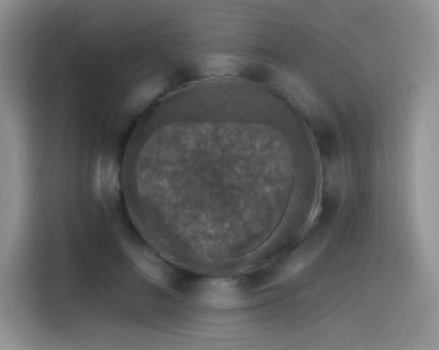 X0000115670692200911191026