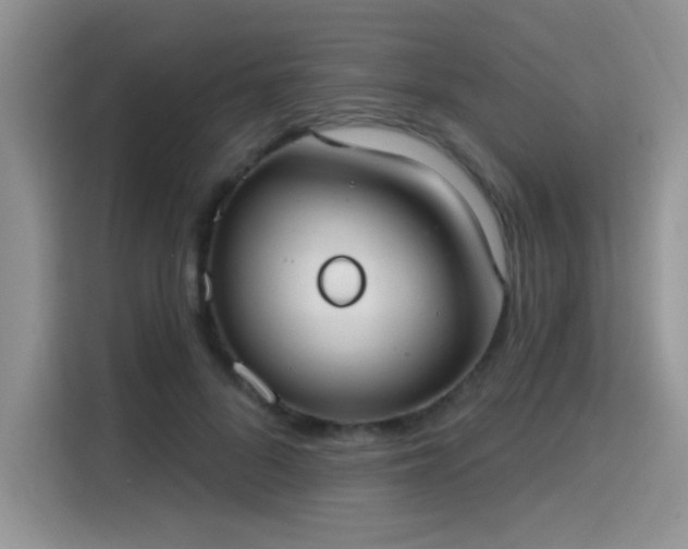 X0000115670696200911191026