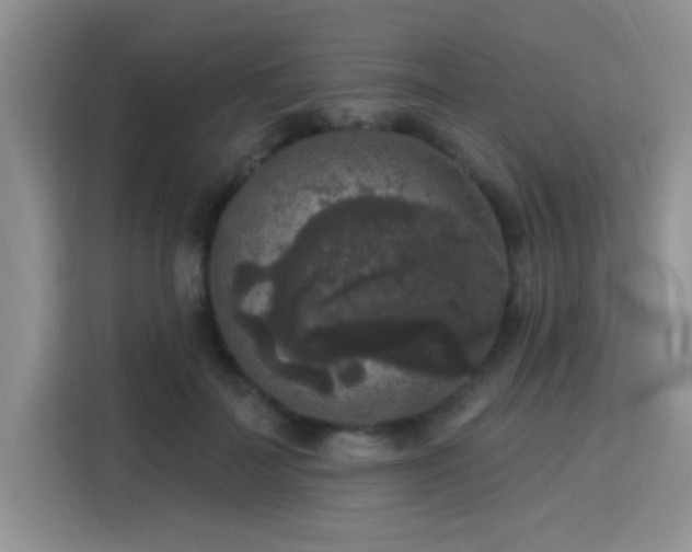 X0000115670699200911191025