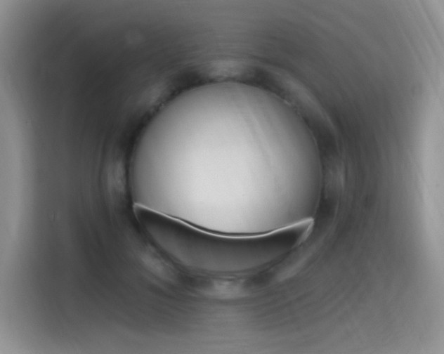 X0000115670700200911191025