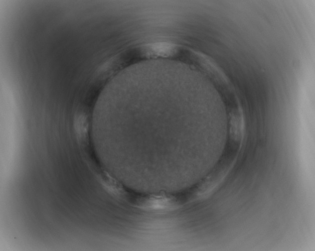 X0000115670701200911191025