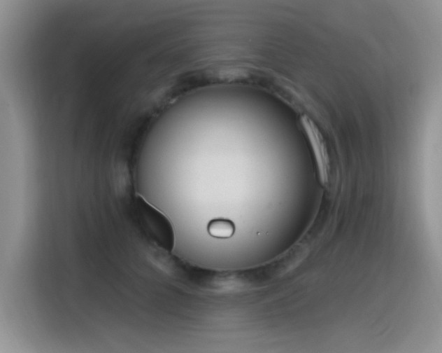 X0000115670704200911191025