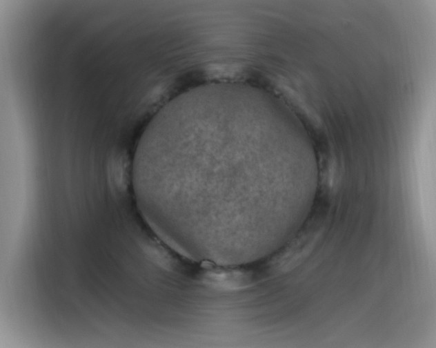 X0000115670712200911191025