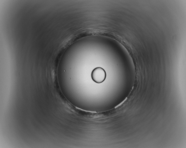 X0000115670716200911191025