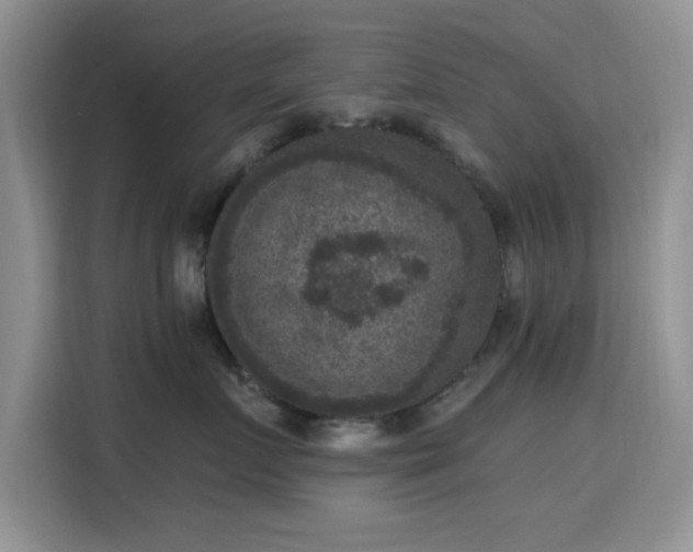X0000115670719200911191025