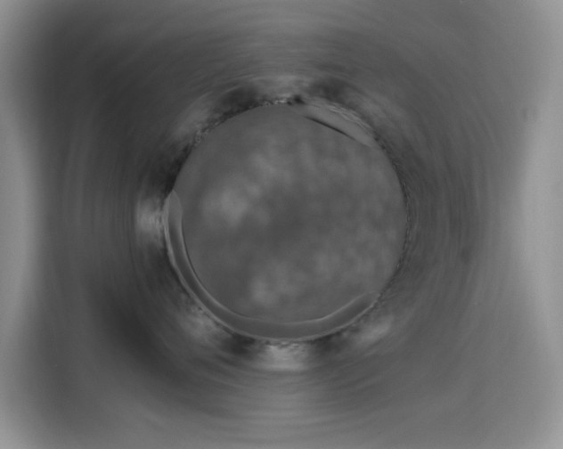 X0000115670720200911191025