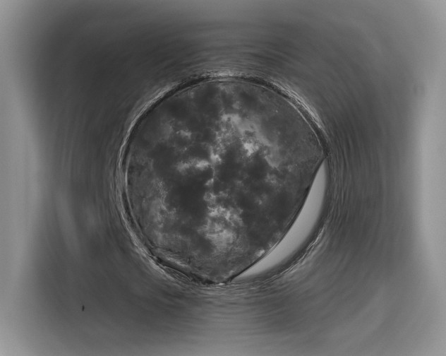 X0000115670721200911191025