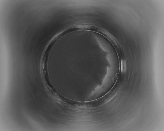 X0000115670723200911191025
