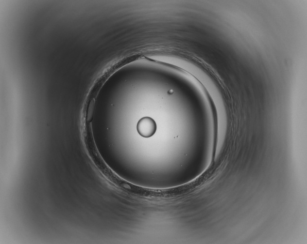 X0000115670725200911191025