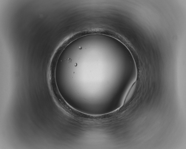 X0000115670726200911191025