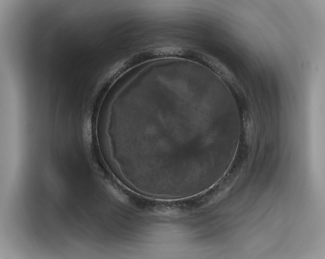 X0000115670729200911191025