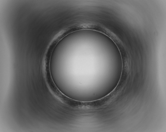 X0000115670730200911191025