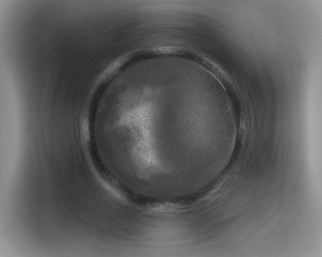X0000115670734200911191025