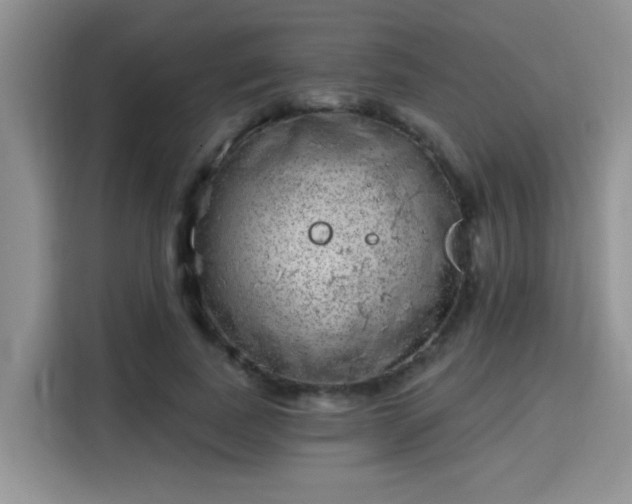 X0000115670739200911191025