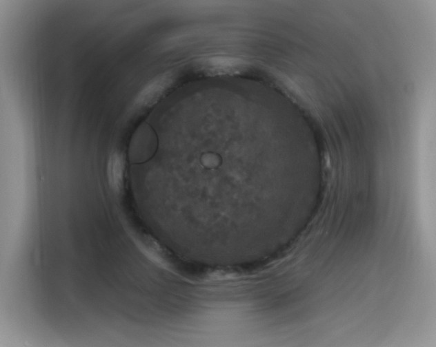 X0000115670742200911191025