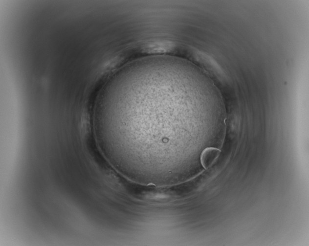 X0000115670743200911191025