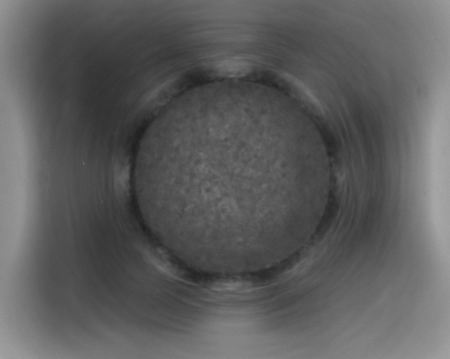 X0000115670745200911191025