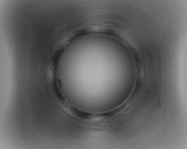 X0000115670746200911191025