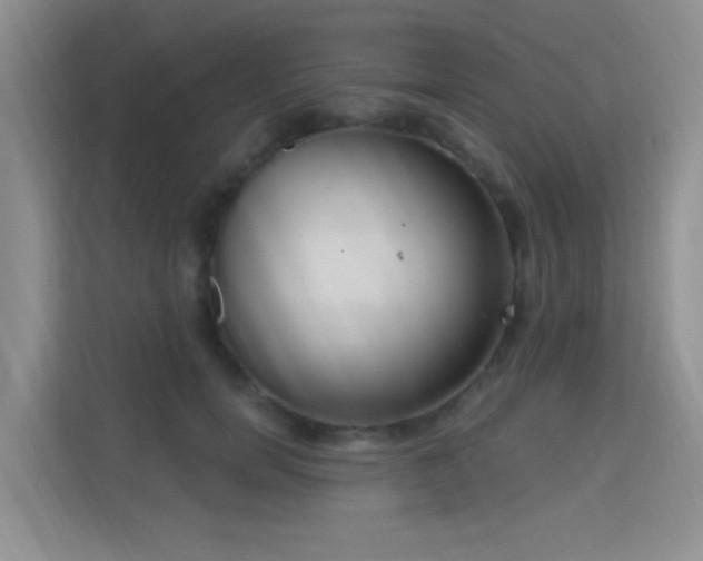 X0000115670750200911191025