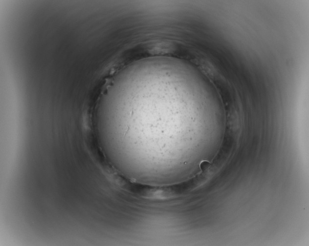 X0000115670755200911191025