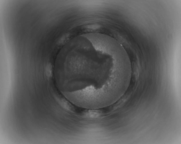 X0000115670758200911191025