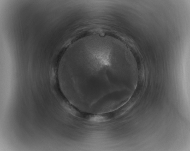 X0000115670759200911191025