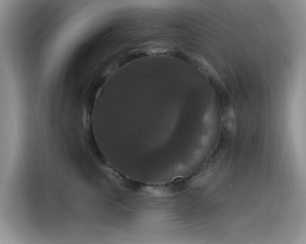 X0000115670763200911191025