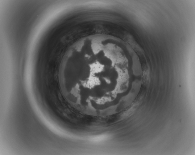 X0000115670765200911191025