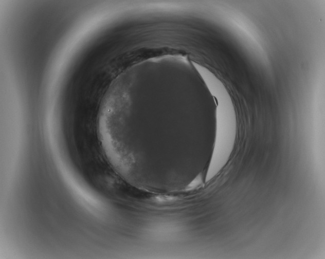 X0000115670766200911191025