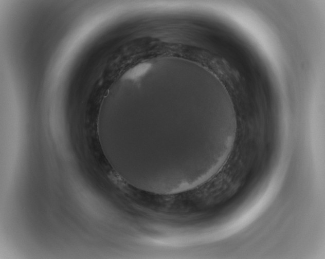 X0000115670767200911191025
