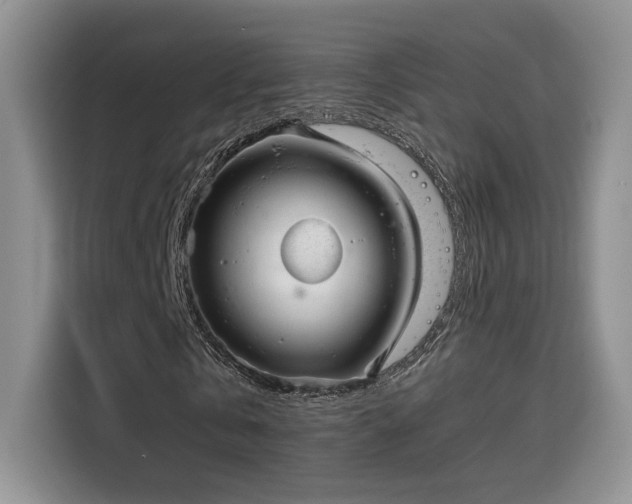 X0000115670769200911191025