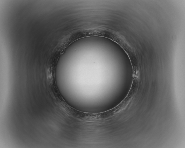 X0000115670771200911191025