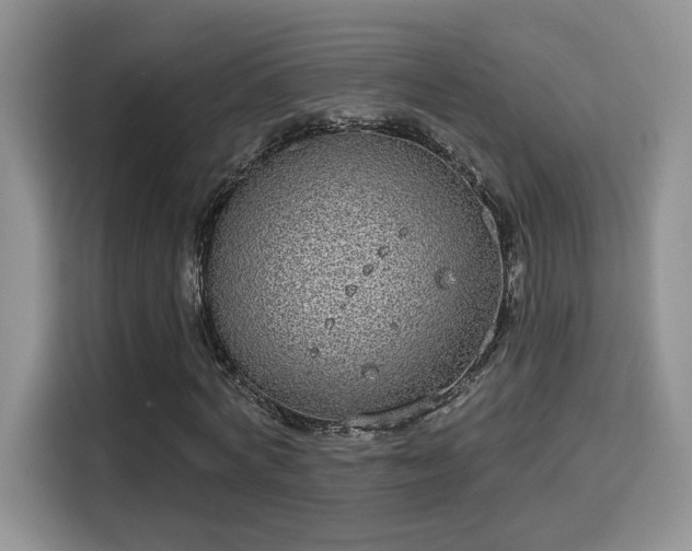X0000115670772200911191025
