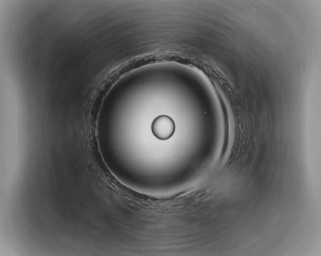 X0000115670773200911191025