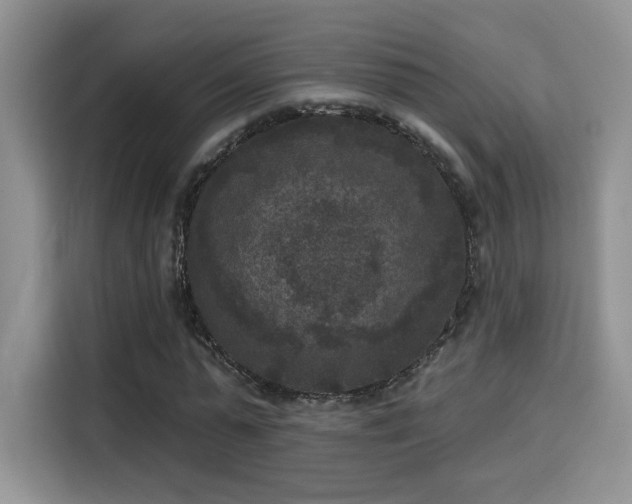 X0000115670775200911191025