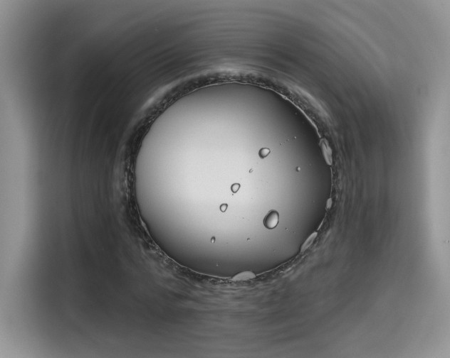 X0000115670776200911191025