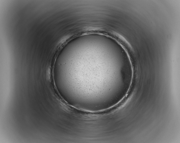 X0000115670777200911191024
